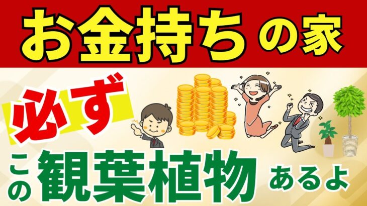 金運爆上がりする家にある観葉植物はコレ【風水アドバイザーがご紹介】