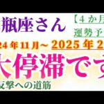 【水瓶座】 2024年11月から2025年2月までのみずがめ座の運勢。星とタロットで読み解く未来 #水瓶座 #みずがめ座