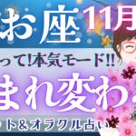 【うお座】個人鑑定級!! 潜在能力開花!! 魂の道を進む時、想像以上の繁栄が訪れる🕊️✨【仕事運/対人運/家庭運/恋愛運/全体運】11月運勢  タロット占い