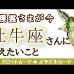 牡牛座さんへ♉️🌟全力で愛を送り続けています