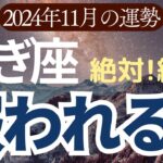 【山羊座】2024年11月のやぎ座の運勢をタロットと星読みで鑑定します