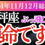 【天秤座】2024年11月・12月てんびん座の運勢。天秤座のタロットと星が導く希望の未来