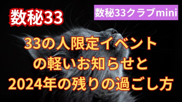 【数秘33クラブmini】来年1月実施のイベントの軽いお知らせと今年残り2ヶ月の過ごし方について