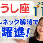 【おうし座】心からの満足✨ボトルネックの解消で大きく進む！大きな意味を持つ人との出会い／占星術でみる11月の運勢と意識してほしいこと