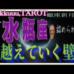 自由になること🕊水瓶座♒️さん【蠍座新月🌚〜今なら出来る❣越えていく壁どう越えていくか】#2024 #星座別リーディング #タロット占い