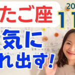 【ふたご座】12年に1度の大転換期が勢いよく、一気に流れ始める✨大いなる気付きの後押し✨／占星術でみる11月の運勢と意識してほしいこと