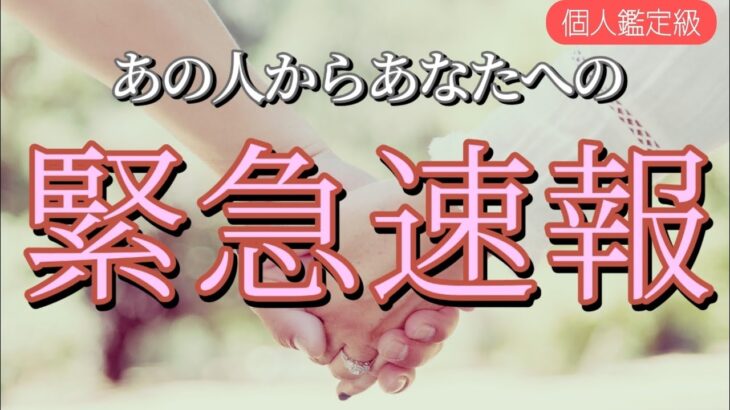 【ガチすぎて…待って!!】あの人からあなたへ緊急速報が入りました😳恋愛タロット