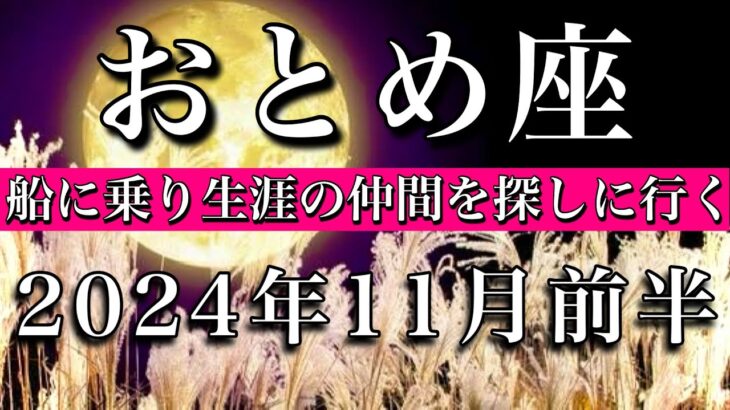 おとめ座♍︎2024年11月前半 今の場所は勿体無い🔥船に乗り新たな仲間を探しに行く　Virgo tarot  reading