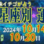 ★忖度なし★2024年10月14日〜10月20日の星座別の運勢★運気を上げるアドバイスつき★