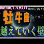 勇気を出して飛び越える👊牡牛座♉️さん【蠍座新月🌚〜今なら出来る❣越えていく壁どう越えていくか】#2024 #星座別 #タロット占い