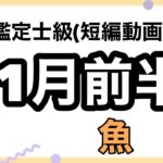 魚座バンザーイ！願望成就大大大大吉を引き当てたよ！超細密✨怖いほど当たるかも知れない😇#星座別#タロットリーディング#うお座