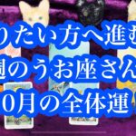 望みが叶います！今週のうお座さん&10月の全体運。　Your wish will come true! This week’s Pisces & October’s overall luck.