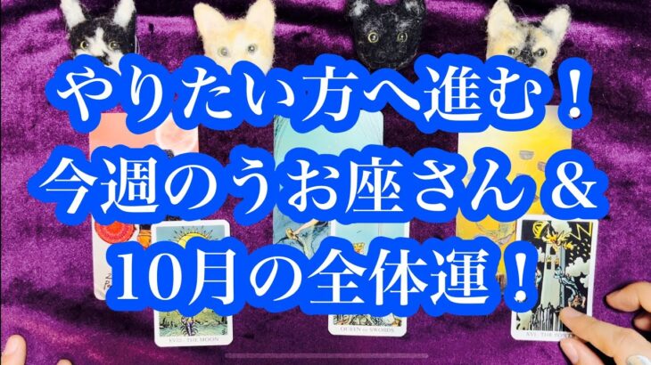 望みが叶います！今週のうお座さん&10月の全体運。　Your wish will come true! This week’s Pisces & October’s overall luck.