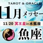 【魚座♓️11月】あなたは本当に美しい🕊️✨心地良さを最優先に！《土の時代のフィナーレ／今重要なメッセージ💌》