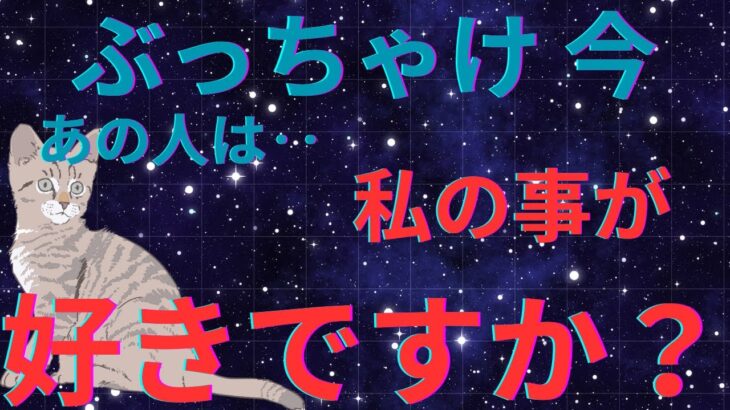 ぶっちゃけ‼︎今あの人は私の事が好きですか？衝撃結果🫨恋愛タロット占い ルノルマン オラクルカード 個人鑑定級に当たるリーディング