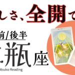 水瓶座11月【揺るぎないあなたが愛しい】スピード感がピカイチ❗️不安はまやかしだと気づいて、、、❗️前半後半仕事恋愛人間関係♒️【脱力系タロット占い】