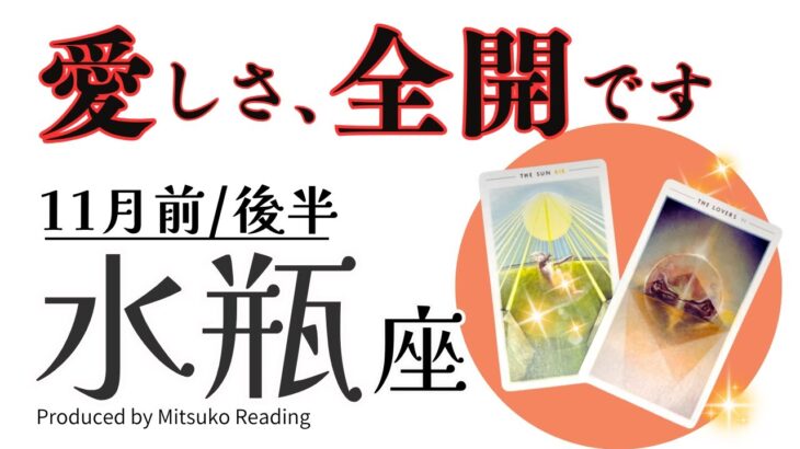 水瓶座11月【揺るぎないあなたが愛しい】スピード感がピカイチ❗️不安はまやかしだと気づいて、、、❗️前半後半仕事恋愛人間関係♒️【脱力系タロット占い】