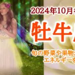 体調面から一区切りの時🪷牡牛座♉️２０２４年１０月16〜31日頃まで