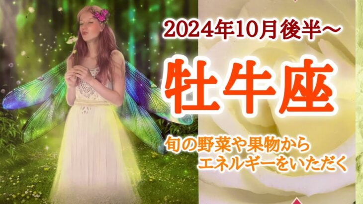 体調面から一区切りの時🪷牡牛座♉️２０２４年１０月16〜31日頃まで