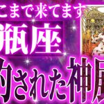 水瓶座はこれから重大な変化を迎えます✨覚悟してください【鳥肌級タロットリーディング】