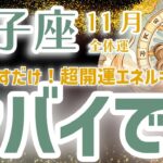 【獅子座】2024年11月のしし座の運勢。未来を読み解く、星とタロット鑑定