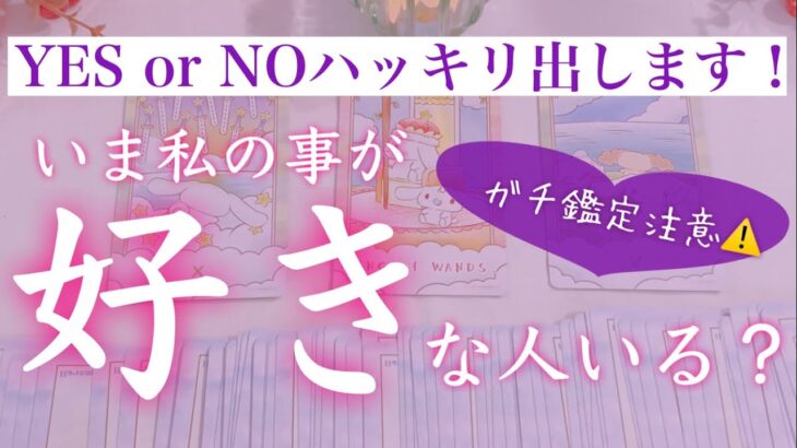 【YES orNO❗️】いま私の事が好きな人はいますか？タロット、タロット占い、恋愛