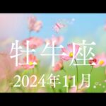 牡牛座♉️2024年11月【調和✨】優先順位がカギになる🌈人との繋がりも強くなる🌈