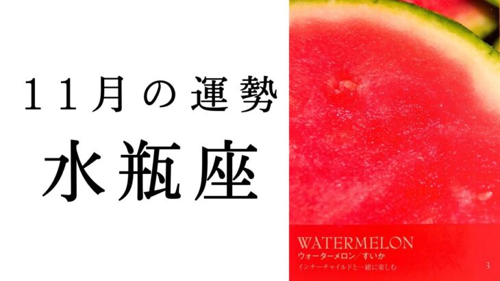 【水瓶座🍁11月の運勢】実は今、水面下でめちゃくちゃ重要なことが起こってます😳2024年タロット占い