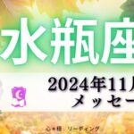 【みずがめ座11月前半】願いを叶え成功も手にする🏆‼️人生の主役を自分に🌈楽しみっ🥰💖