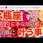 水瓶座🌏【感動🥹】劇的に引き寄せる飛躍のステージ🎆今がどんな状況でも一変する奇跡の可能性🌈急激に叶う事🌹深掘りリーディング#潜在意識#ハイヤーセルフ#水瓶座