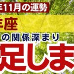 【山羊座】2024年11月やぎ座の各種運勢をタロット・星読み占いで鑑定～周囲との関係深まり充足します～