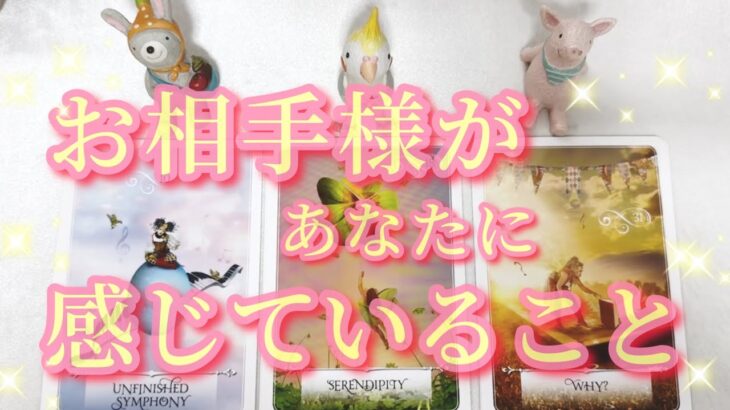 凄すぎ展開❤️お相手様があなたに感じていることは❓二人のご縁まで深掘り✨タロット・ルノルマン