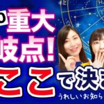 【特別LIVE】重大分岐点！11月20日冥王星水瓶座入り “ココ”で決まる【風の時代】【まゆちん】