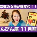 てんびん座♎️11月前半🔮幸運の女神が微笑む！✨運気上昇中です！✨