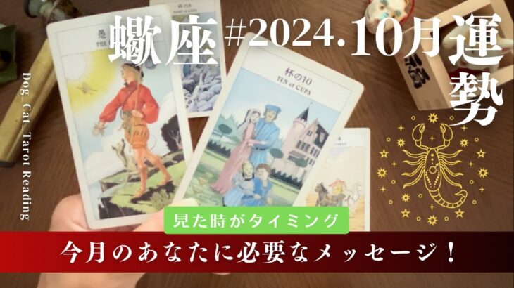 蠍座♏️2024年10月の運勢　豊かさをつなぐ✨戻るべき場所がある幸せを謳歌する時