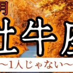 牡牛座　2024年11月　一人で背負わなくていい　一人で頑張らなくていい　周りの力も借りながら願望成就