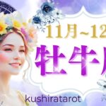 【おうし座】大転換で魅力爆発！11月12月の運勢✨新しい希望が導く大復活の時🌟🦋