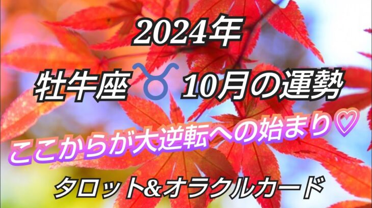 2024年10月《牡牛座♉️》✨いよいよ大逆転が始まっていく✨