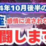 【蟹座】心の絆と安定を求めて！2024年10月後半のかに座の運勢を夢流星がタロット＆占星術で読み解く！【スピリチュアル】