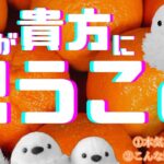 【タロット占い】彼が貴方に思うこと🔮😌※片思いさん＆復縁さん歓迎✨🤗✨