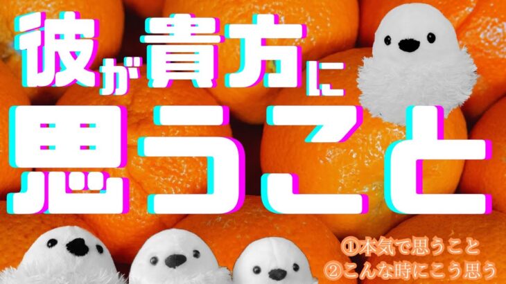 【タロット占い】彼が貴方に思うこと🔮😌※片思いさん＆復縁さん歓迎✨🤗✨