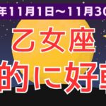 【乙女座】おとめ座の運命が動く！11月のあなたに待つ驚きの未来とは？