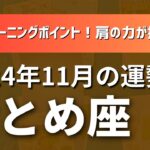 乙女座さん♍2024年11月の運勢✨すごい！！ターニングポイント！肩の力が抜ける！うまくいかなくたっていい！【全体運・仕事/人間関係/金運・アドバイス】タロット占い（おまけもあるよ）