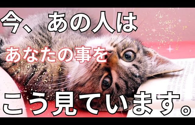 今あの人はあなたの事をこう見ています。大本音🔥恋愛タロット占い ルノルマン オラクルカード 個人鑑定級に当たるリーディング