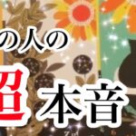 表の顔と隠れた本音を暴露してしまいました♥あの人の超本音【恋愛💖タロット】