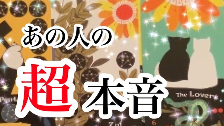 表の顔と隠れた本音を暴露してしまいました♥あの人の超本音【恋愛💖タロット】