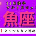 【驚愕😲】とてつもない連絡が届く❗️ 魚座　11月後半ケルトタロット占い#星座 #タロット#タロットカード#占い#ケルト #当たるタロット