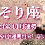 【さそり座】11月運勢　12星座No.1🥳今年1番の幸運期到来🌈全ての蠍座さんに絶対見てほしいメッセージ💌ついに願いが叶う、勝利を掴むとき✨無限大の可能性が花開く【蠍座 １１月】【タロット】