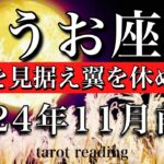 うお座♓︎2024年11月前半　飛躍目前🔥未来を見据え翼を休める時　Pisces tarot  reading