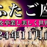 ふたご座♊︎2024年11月前半 サナギ期間卒業🔥新たな世界を飛び回る！Gemini tarot  reading